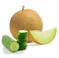 Cucumber Melon Fragrance Oil Type BBW FP200 HCS Collection